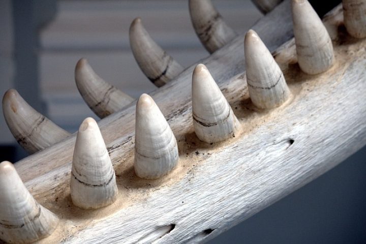 Víkend 17. – 18. 06. 2006