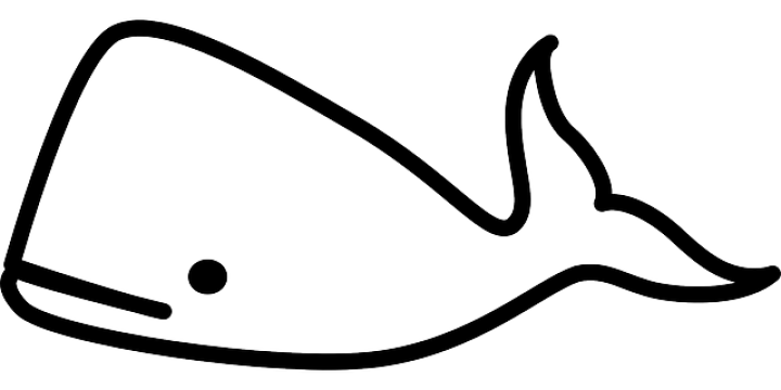 Zásady úspěšného sebevraha