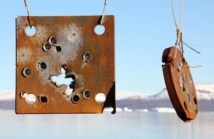 Diligentia Vis Celeritas